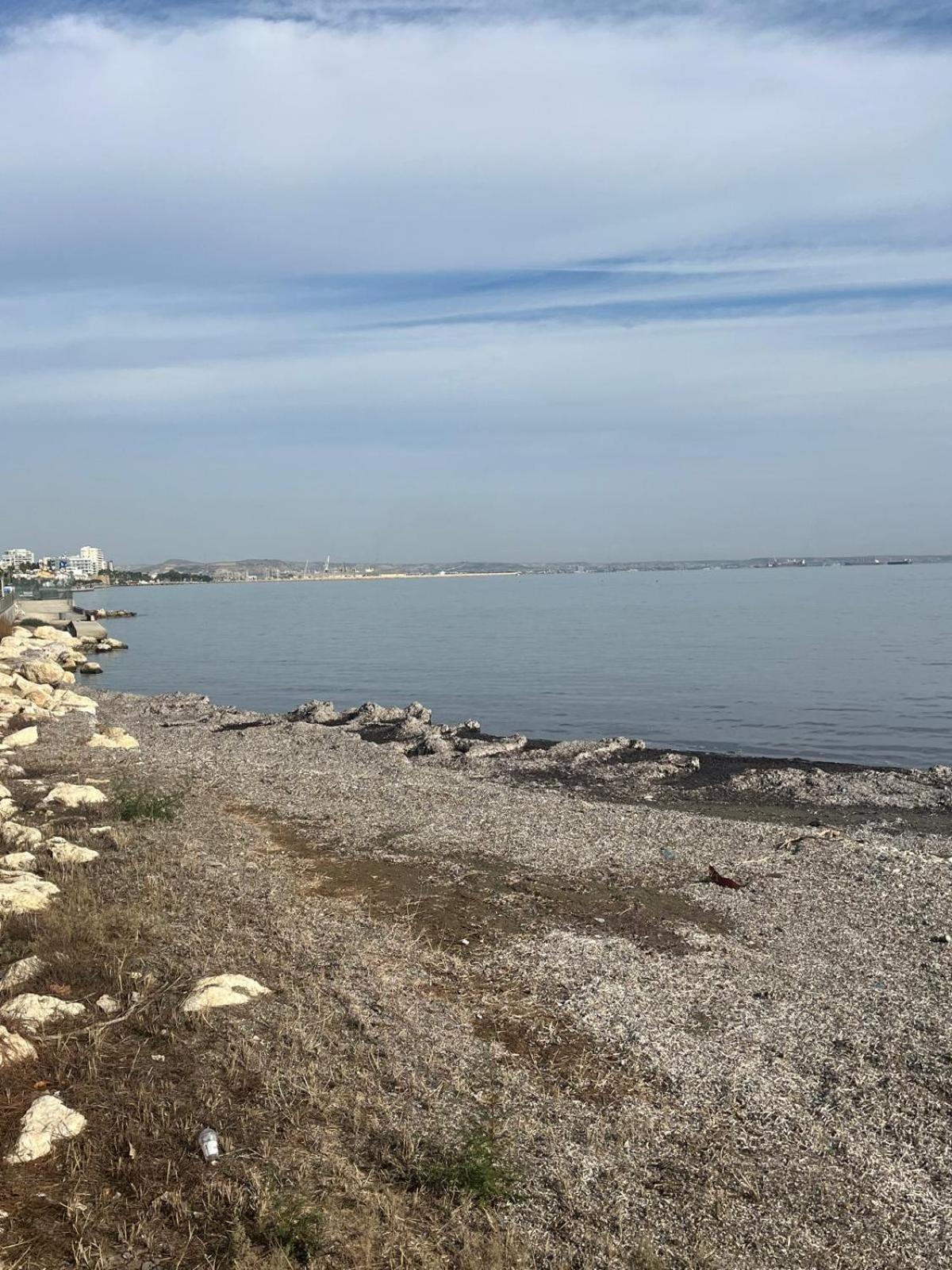 Anamor Apartment 408 لارنكا المظهر الخارجي الصورة